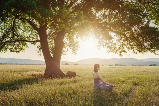 a woman under a tree practicing yoga