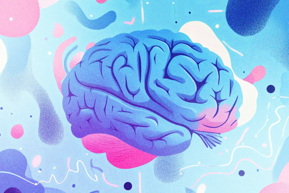 illustration of brain